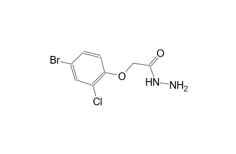 2-(4-bromo-2-chlorophenoxy)acetohydrazide