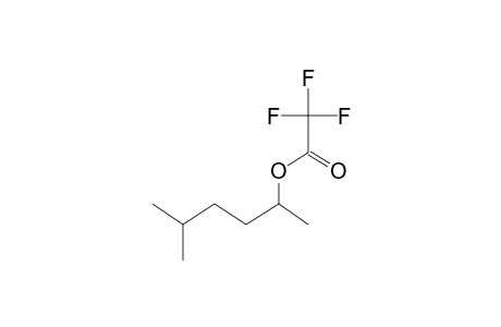 5-Methyl-2-hexanol, trifluoroacetate