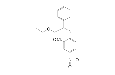 N-(2-chloro-4-nitrophenyl)-2-phenylglycine, ethyl ester