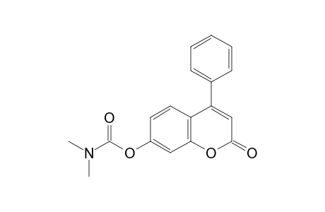 7-hydroxy-4-phenylcoumarin, dimethylcarbamate