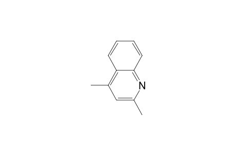 2,4-Dimethyl-quinoline