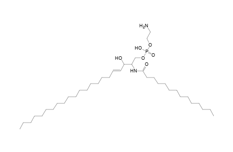 PE-Cer 22:1;2O/14:0