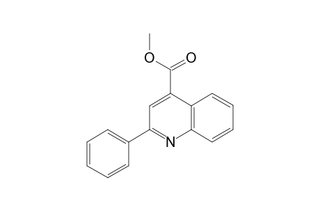 2-phenyl-4-quinolinecarboxylic acid, methyl ester