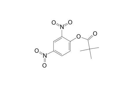 Propanoic acid, 2,2-dimethyl-, 2,4-dinitrophenyl ester