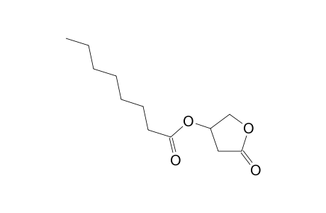 Octanoylcarnitine oxylactone