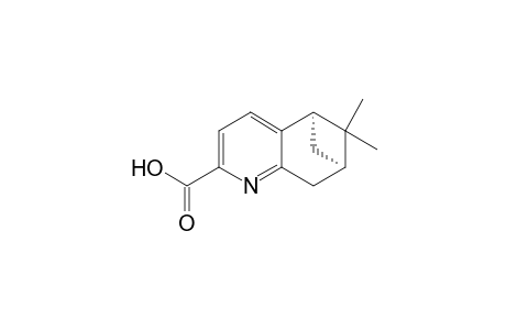 (-)-(5R,7R)-5,6,7,8-Tetrahydro-5,7-(9,9-dimethylmethano)quinoline-2-carboxylic acid