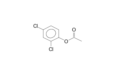 Phenol, 2,4-dichloro-, acetate