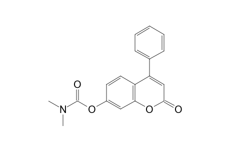 7-hydroxy-4-phenylcoumarin, dimethylcarbamate