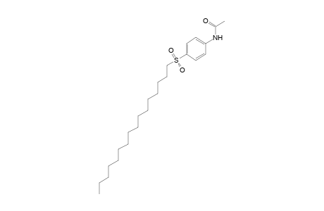 4'-(hexadecylsulfonyl)acetanilide