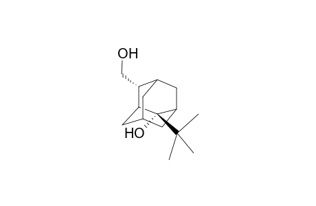 2(e)-tert-Butyl-4(a)-(hydroxymethyl)adamantan-2(a)-ol