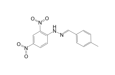 p-Tolualdehyde 2,4-dinitrophenylhydrazone