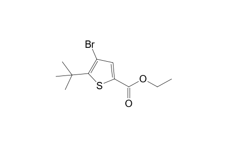 Ethyl 4-Bromo-5-tert-butylthiophene-2-carboxylate