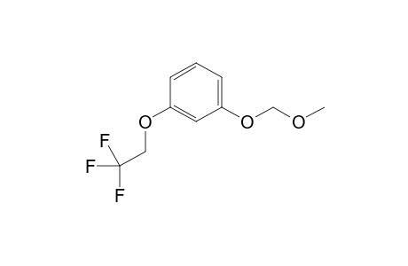 1-(methoxymethoxy)-3-(2,2,2-trifluoroethoxy)benzene