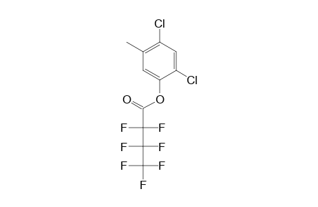 2,4-Dichloro-5-methylphenol, o-heptafluorobutyryl-