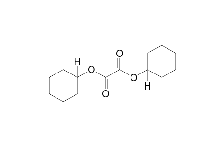 Oxalic acid, dicyclohexyl ester