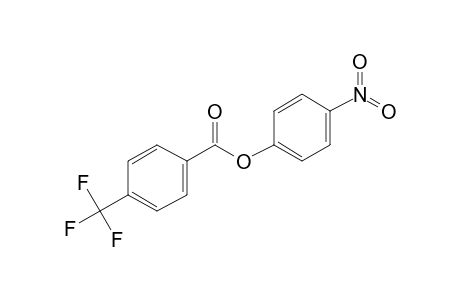 4-Trifluoromethylbenzoic acid, 4-nitrophenyl ester