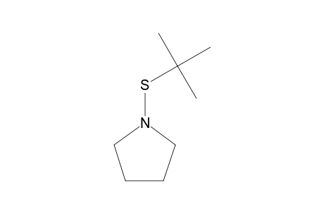 1-(tert-BUTYLTHIO)PYRROLIDINE