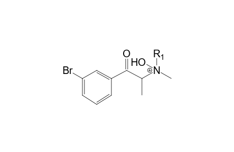 3-Bromomethcathinone-M (N-oxide-glucuronide) MS3_1