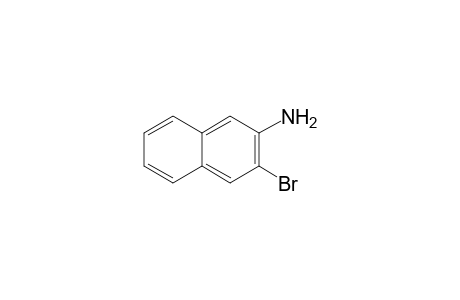 2-Amino-3-bromonaphthalene