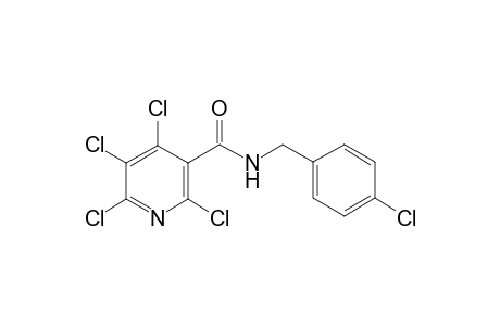3-pyridinecarboxamide, 2,4,5,6-tetrachloro-N-[(4-chlorophenyl)methyl]-