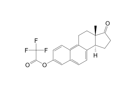 Estra-1,3,5,7,9-pentaen-17-one, 3-[(trifluoroacetyl)oxy]-