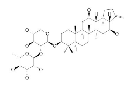 SPERGULIN-B;3-O-[ALPHA-RHAMNOPYRANOSYL-(1->2)-BETA-D-XYLOPYRANOSYL]-SPERGULATRIOL