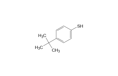 4-tert-Butylthiophenol