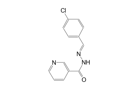 N'-(4-CHLOROBENZYLIDENE)-NICOTINO-HYDRAZIDE