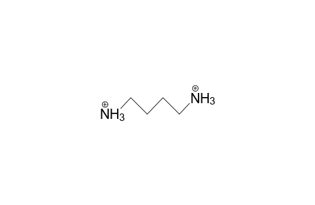 1,4-Butanediamine dication