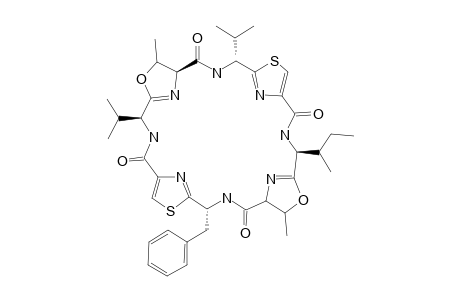 PATELLAMIDE-E