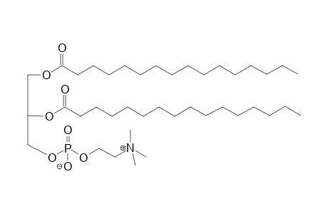 1,2-DI-O-HEXADECANOYL-3-O-[2-(TRIMETHYLAMINO)-ETHYL]-PHOSPHORYL)-RAC-GLYCEROL