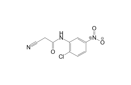 N-(2-Chloro-5-nitrophenyl)-2-cyanoacetamide