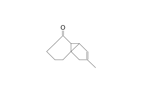 trans-9-Methyl-tricyclo(5.4.0.0/7,11/)undec-9-en-2-one