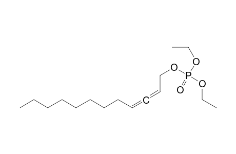 DIETHYL-2,3-DODECADIENYL-PHOSPHATE
