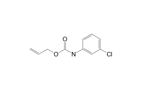 Carbamic acid, 3-chlorophenyl-, allyl ester