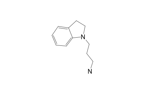 3-(2,3-Dihydroindol-1-yl)propan-1-amine