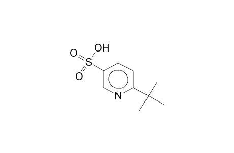 2-tert-butylpyridine-5-sulphonate