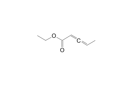 2,3-Pentadienoic acid, ethyl ester