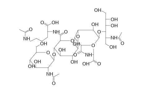 OLIGOSACCHARIDE 2 (FROM PROTEUS MIRABILIS O27)