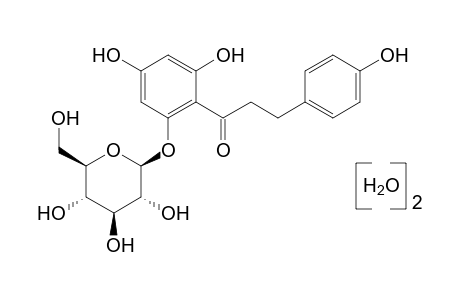 Phlorizin dihydrate (from Apple Wood)