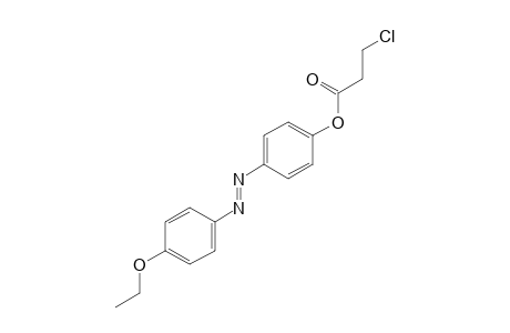 p-[(p-ethoxyphenyl)azo]phenol, 3-chloropropionate