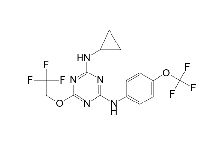 2-N-cyclopropyl-6-(2,2,2-trifluoroethoxy)-4-N-[4-(trifluoromethoxy)phenyl]-1,3,5-triazine-2,4-diamine