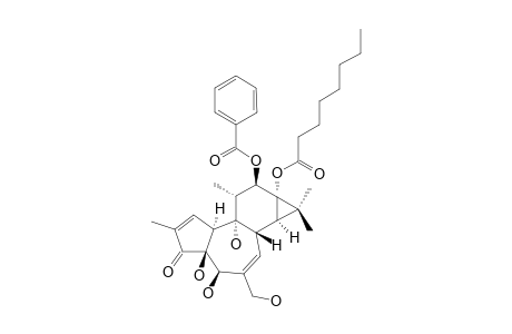 STELLERACIN_C