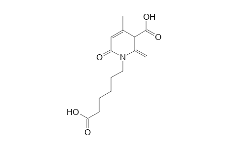 1-(5-carboxypentyl)-4-methyl-2-methylene-6-oxo-1,2,3,6-tetrahydronicotinic acid