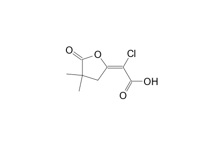 (Z)-alpha-CHLORODIHYDRO-4,4-DIMETHYL-5-OXO-delta2(5H),alpha-FURANACETIC ACID