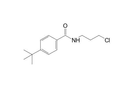 p-tert-butyl-N-(3-chloropropyl)benzamide