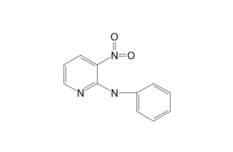3-NITRO-2-(PHENYLAMINO)-PYRIDINE