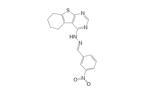 N-(3-Nitrobenzylidene)-N'-(5,6,7,8-tetrahydrobenzo[4,5]thieno[2,3-d]pyrimidin-4-yl)hydrazine