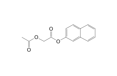 Acetoxyacetic acid, 2-naphthyl ester