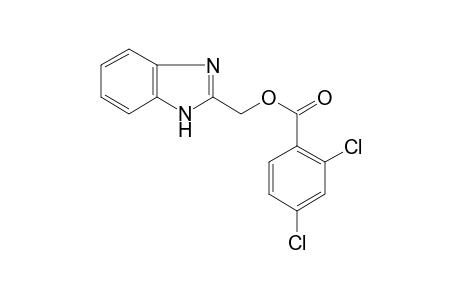 Benzoic acid, 2,4-dichloro-, (benzimidazol-2-yl)methyl ester